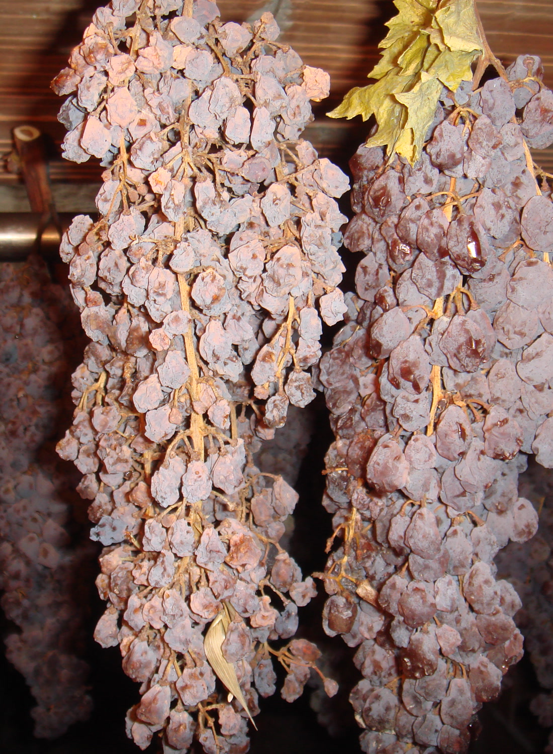 Vin de Paille